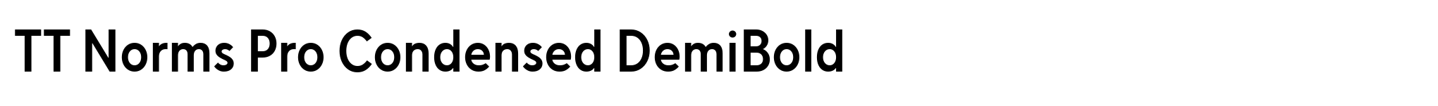TT Norms Pro Condensed DemiBold image